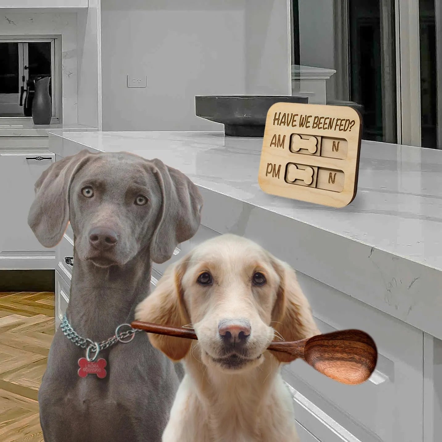 Did You Feed the Dogs Flip Sign Magnet am pm Reminder, Feeding Tracker Dogs Fed, Feeder Reminder Dogs, Dogs Were Fed Chart, Dog Feeder Sign